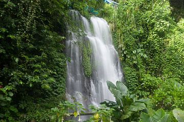 Banyuwangi watervallen van Richard Wareham