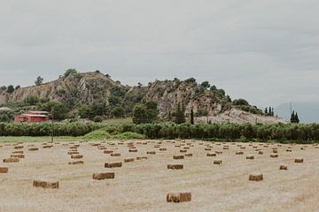 Summer landscape with Hay Bales - Rest in Rural Zakynthos by Dixy Kracht