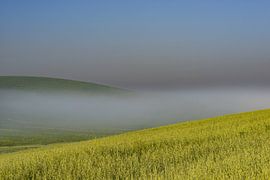 Sunrise in the Crete Senesi by Walter G. Allgöwer