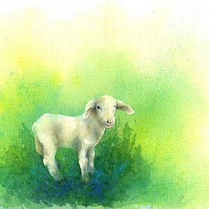 Süsses kleines Lamm quadratisch