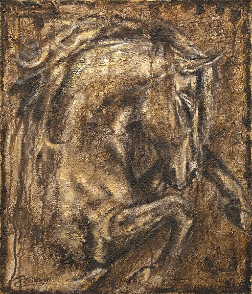 La beauté d'un cheval par Paula Collewijn