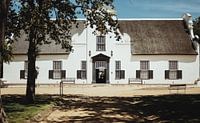 Wijnboerderij Groot Constantia Kaapstad | Reisfotografie | West-Kaap, Zuid-Afrika, Afrika