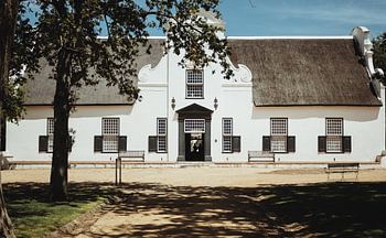 Wine Farm Groot Constantia Cape Town | Travel Photography | Western Cape, South Africa, Africa