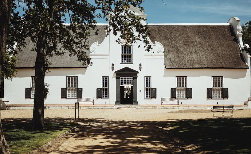 Wine Farm Groot Constantia Cape Town | Travel Photography | Western Cape, South Africa, Africa by Sanne Dost
