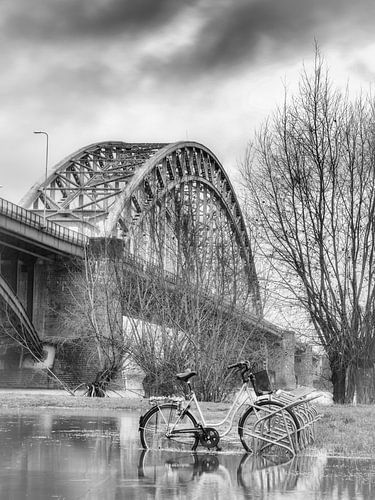 Nijmegen hoogwater #6