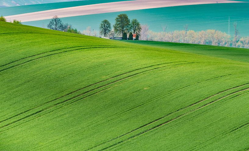 Green is the colour by Guy Lambrechts Photography