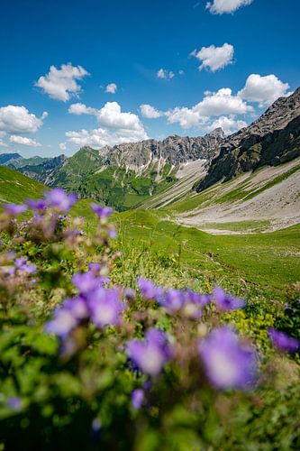 Bloemrijk uitzicht op de Hintersteiner vallei en de Hochvogel