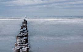 Ocean Sound by Britta Kärcher