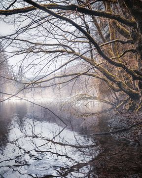 Mystic lake von Joris Machholz