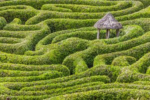 Labyrinth im Glendurgan Garden, Cornwall