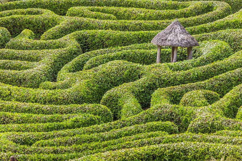 Labyrinth im Glendurgan Garden, Cornwall von Christian Müringer