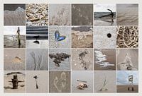 Strand Texel Collage