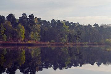 Reflection in the fen by Paul Poot