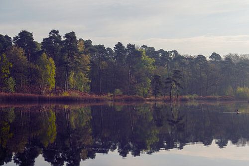 Reflection in the fen