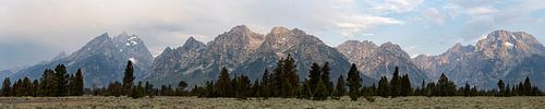 Grand Teton National Park, USA, panorama in de ochtendzon