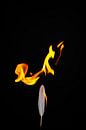 Feder und Flamme #1 von pixxelmixx Miniaturansicht