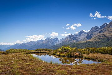 Views over water atop the New Zealand Fjords by Troy Wegman