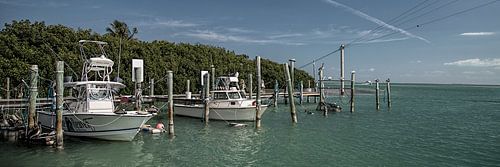 Florida XXXII