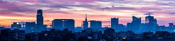 Roze panorama over Brussel van Werner Lerooy