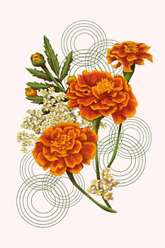 Botanical Tagetes