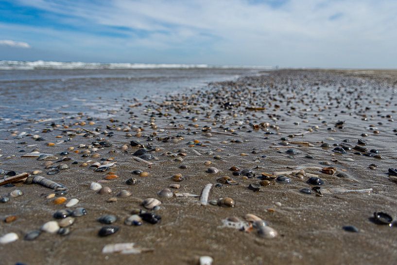 Strand von Vlieland von Dylan Bakker