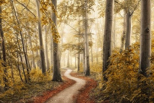 The Path that ends at the Beginning