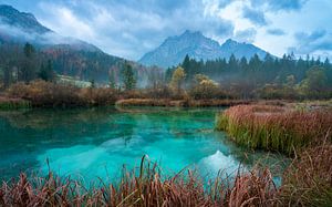 Het Zelenci nature reserve van Simon Bregman