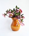 Helleborus Orientalis in vase by StudioMaria.nl thumbnail