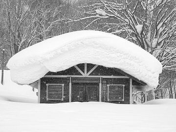 Powder snow on house in Japan