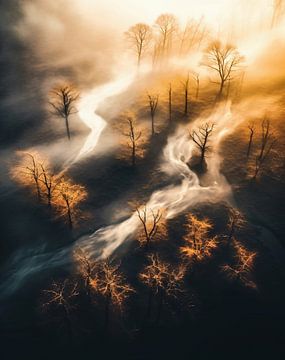 Mystieke zonsopgang in het herfstbos van fernlichtsicht