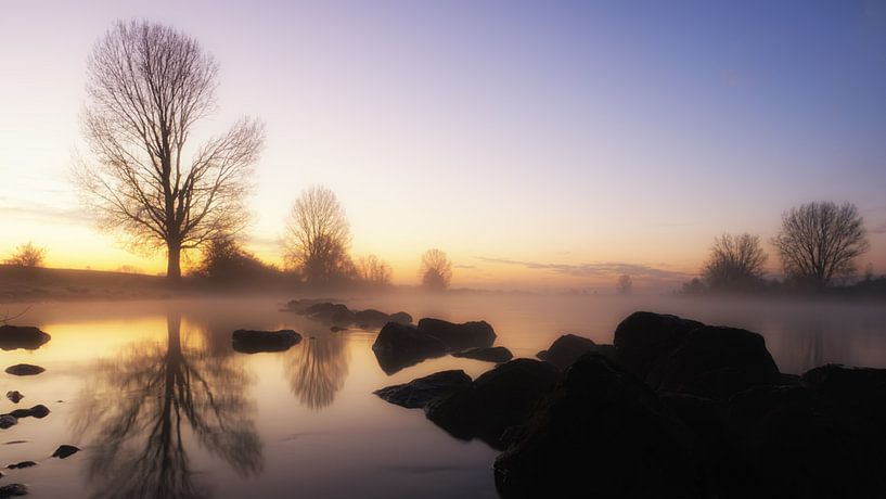 Foggy morning by Lex Schulte