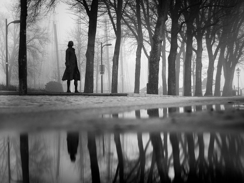 Stat(u)e of  mind par Maarten Hooijmeijer