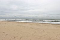 Strand auf Texel