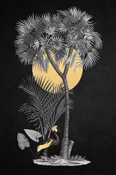 Tropical Moonlight by Marja van den Hurk