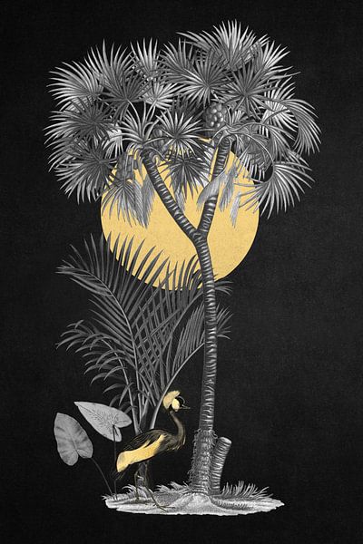 Tropical Moonlight par Marja van den Hurk