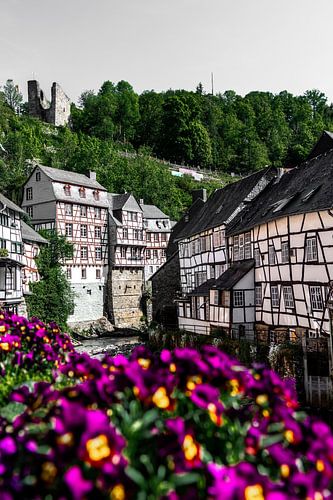 Ein Spaziergang durch Monschau mit Blick auf die charakteristischen Häuser und einer farbenfrohen Pflanze im Vordergrund, Deutschland.