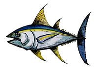 Big tuna