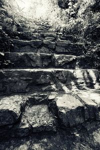 Escalier magique