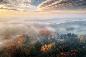 Sternenwald