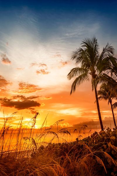 BONITA BEACH Traumhafter Sonnenuntergang von Melanie Viola