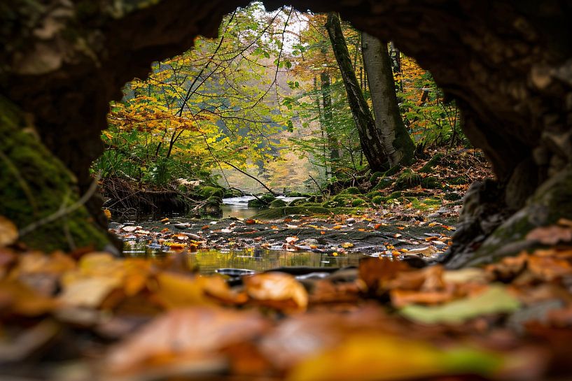 see-through by Imperial Art House