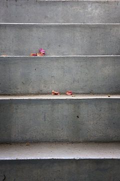 Escalier en béton avec des feuilles sur Jan Brons