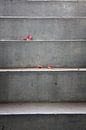 Concrete stairs with leaves by Jan Brons thumbnail