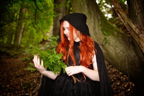 La fille de la forêt