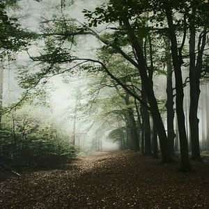 haunted forest van bob van den berg