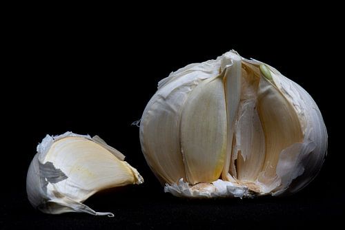 Garlic with black background