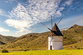 Lonely windmill in the Cabo de Gata in Andalusia Spain