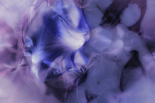 Fleurs nue