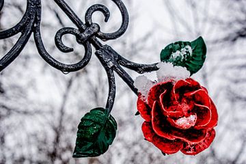 Rode metalen roos van Michael Nägele