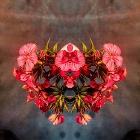 Lavierenphotography Mirrorworks profielfoto